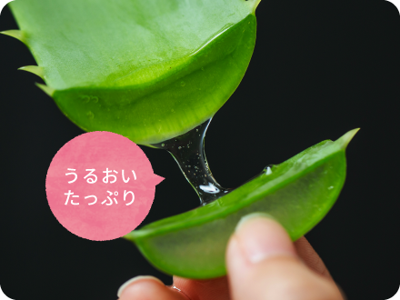 完熟アロエ ゲルクリーム | アロエ本舗株式会社