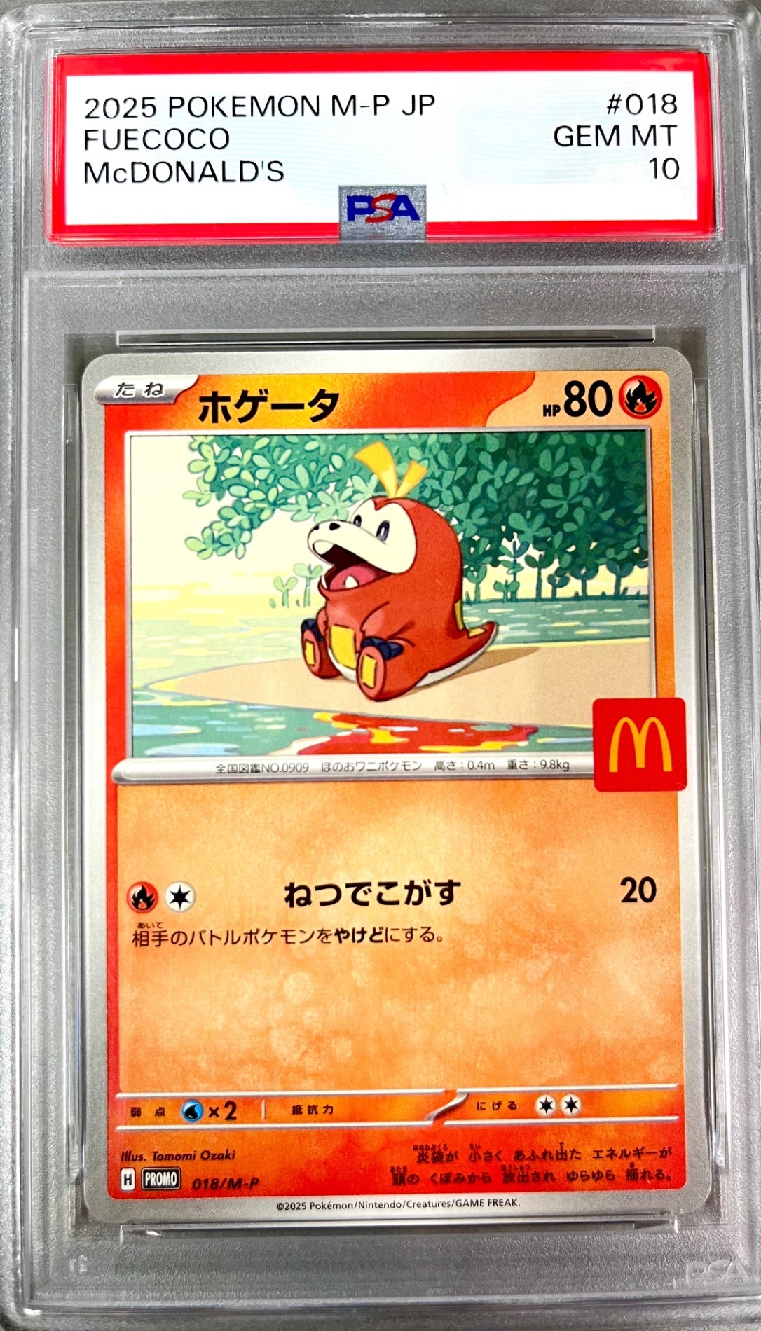 New Arrivals – アソブランド