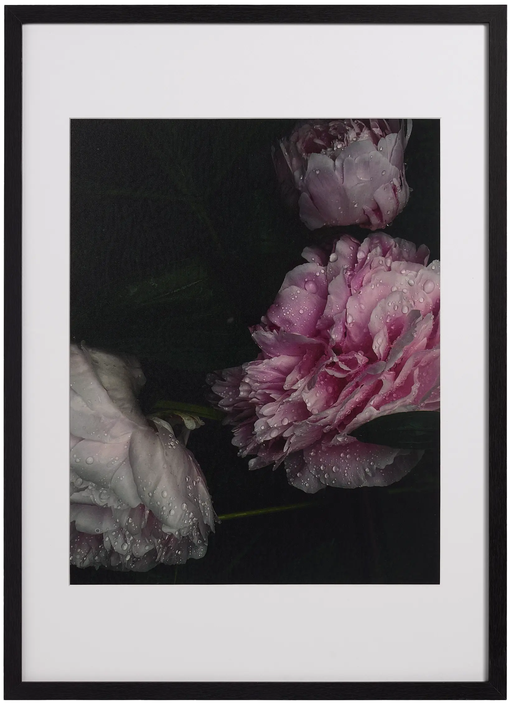 Flora 1フォトアート | Gallery | Flora 1 | Helena Christensen