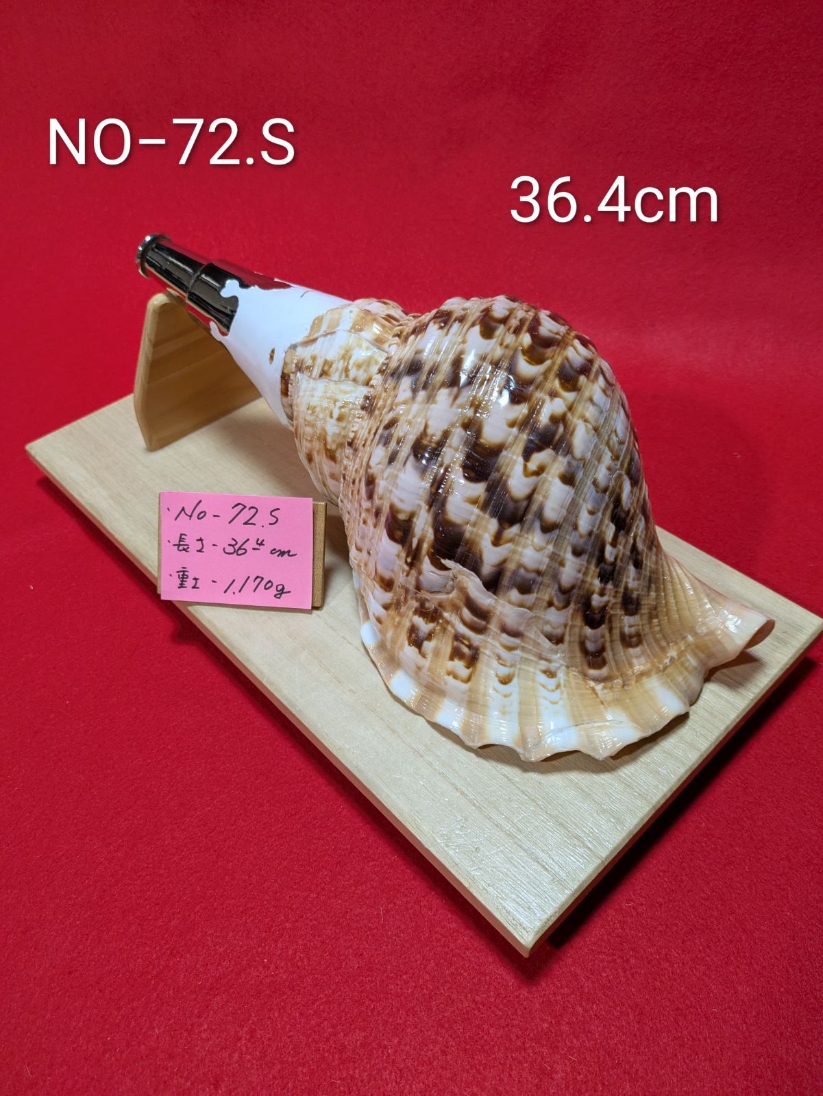 NO−72.S #法螺貝#金具入り#ほら貝#ホラ貝#修験道#和楽器#新品未使用