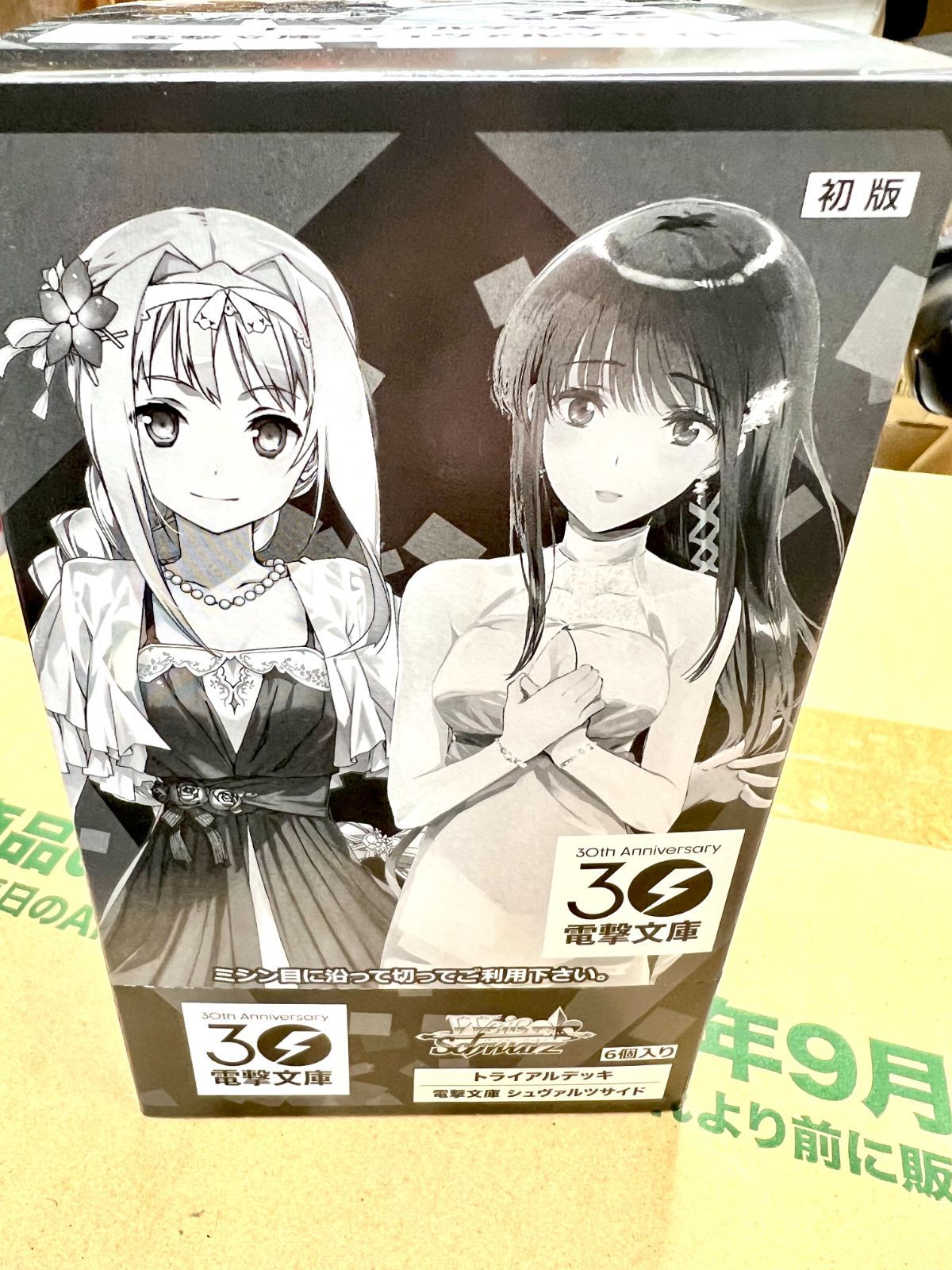 未開封【1カートン】ヴァイスシュヴァルツ トライアルデッキ 電撃文庫