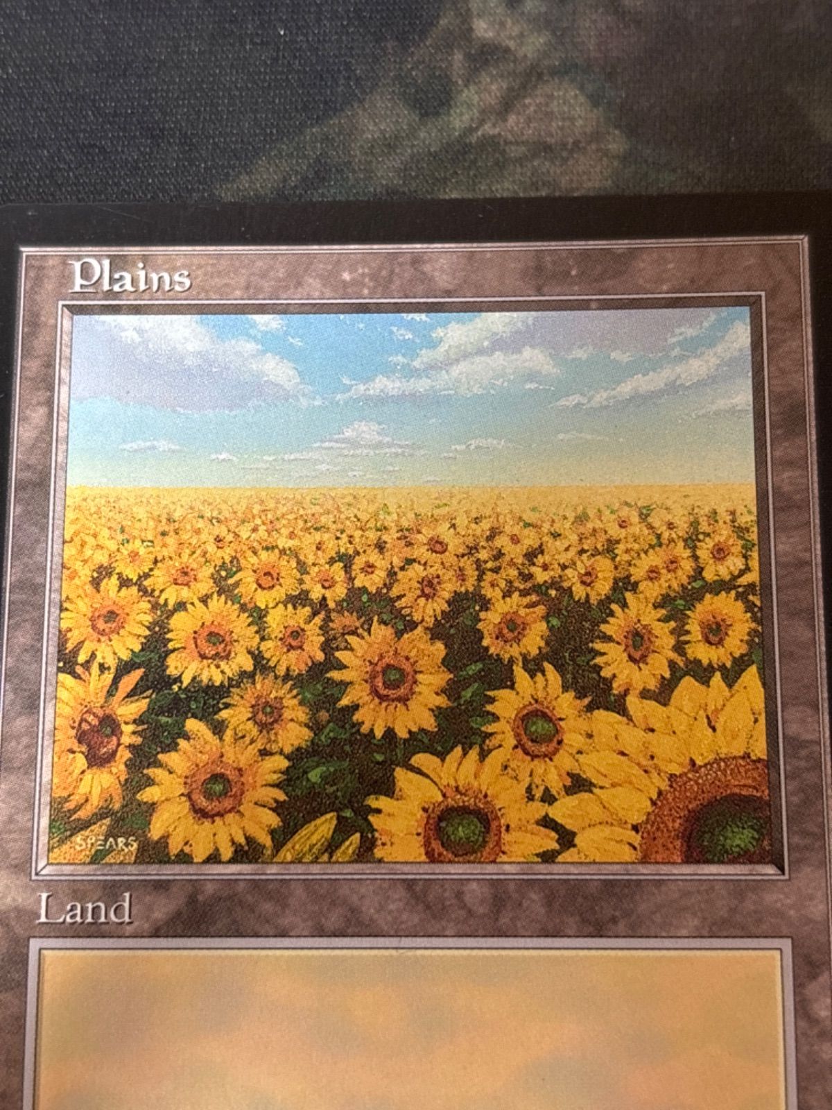平地/Plains APAC1 ひまわり 平地/Plains APAC1 ひまわり MTG Plains