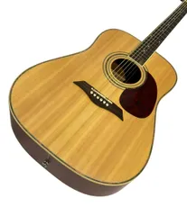 2026年最新】Elioth アコギの人気アイテム - メルカリ