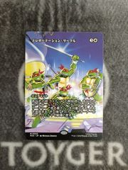 MTG 楽園チョコボ 日本語 ボーダーレス FOIL版 4枚セット - メルカリ