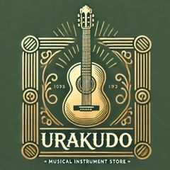 10分で弾ける・歌える喜びを！超カンタンに弾ける電子ギター