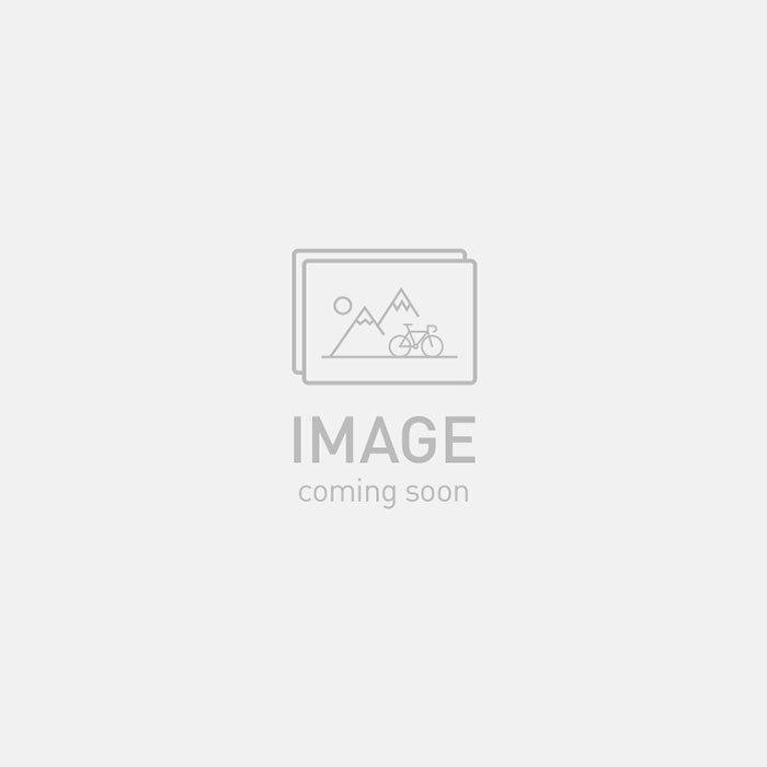 S-Works Turbo Levo SL