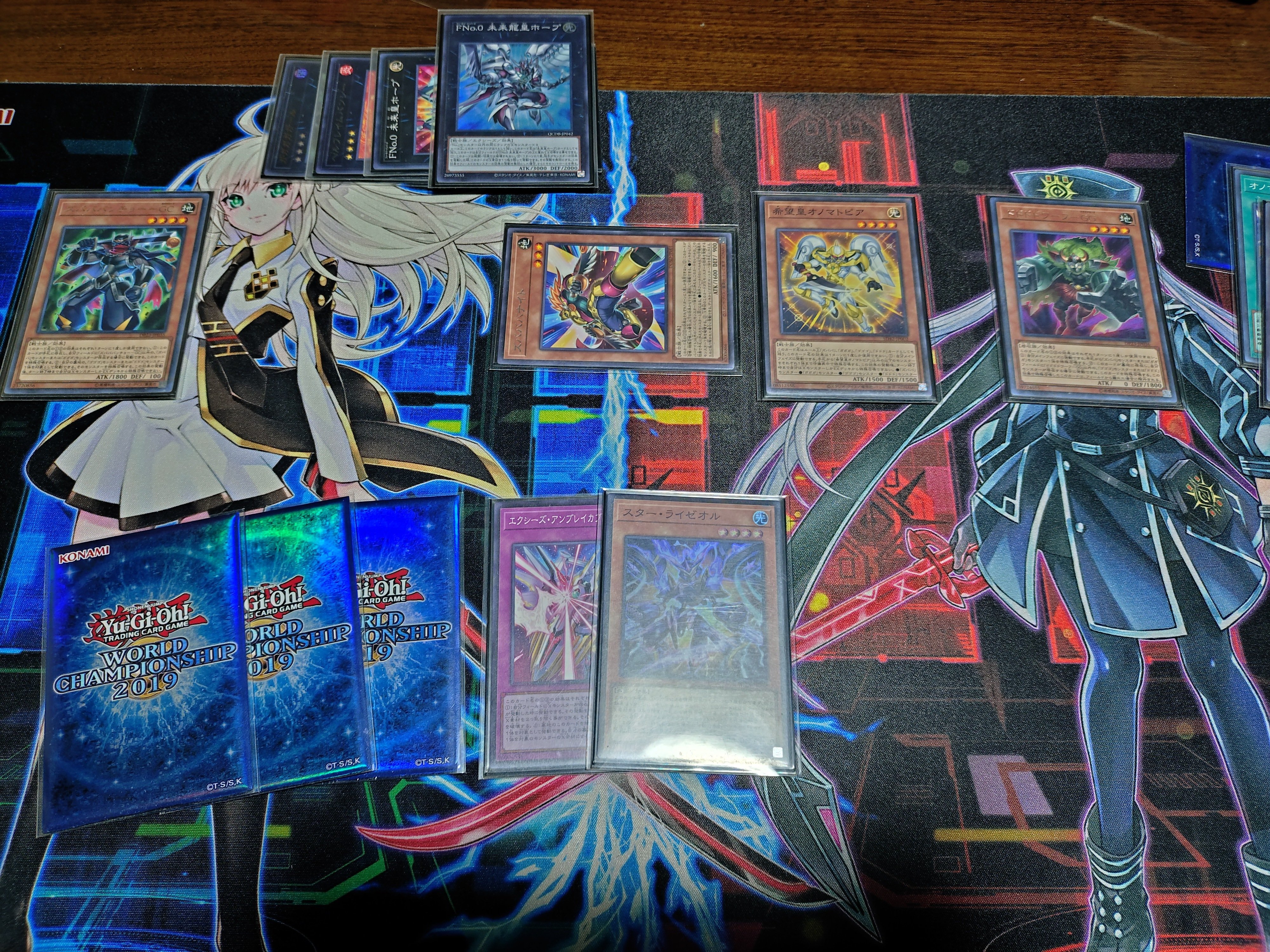 F*F様 フォロワー様5%オフ 大会構築 巳剣ライゼオルデッキ ②