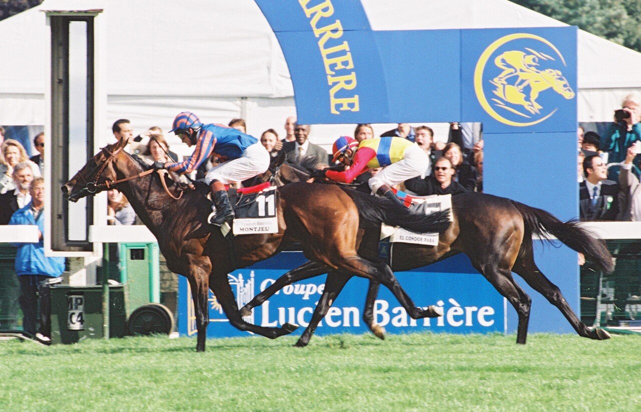 ウマ娘」では覆面美少女！日本の競馬ファンが夢を見たエルコンドル
