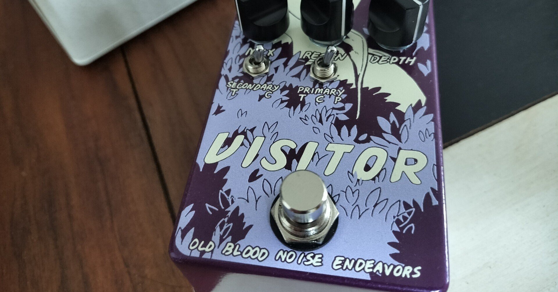 深淵は揺れている。Old Blood Noise Endeavors Visitorレビュー