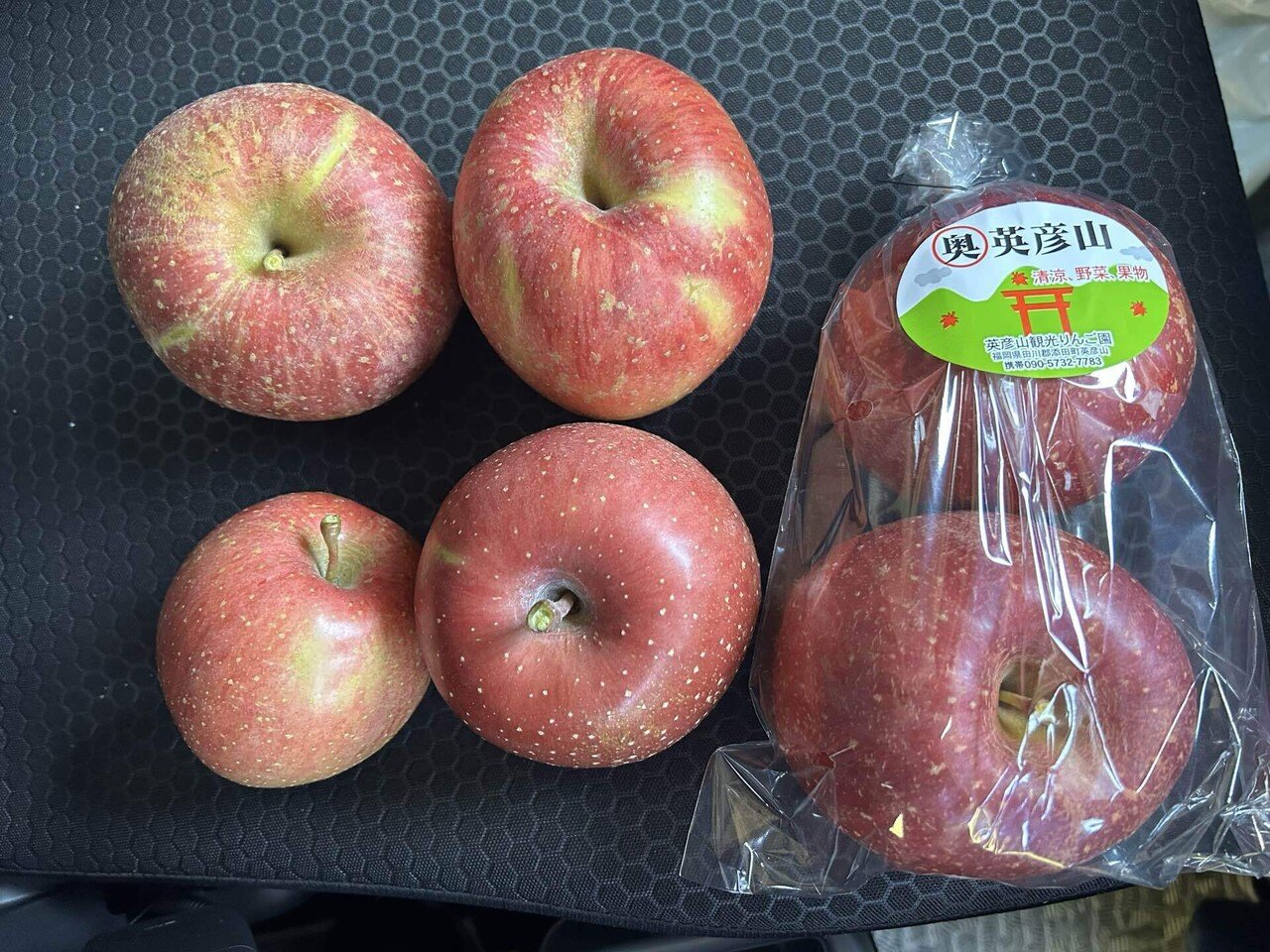 秋の味覚】英彦山観光リンゴ園に行ってきました🍎｜福岡 切り花農家
