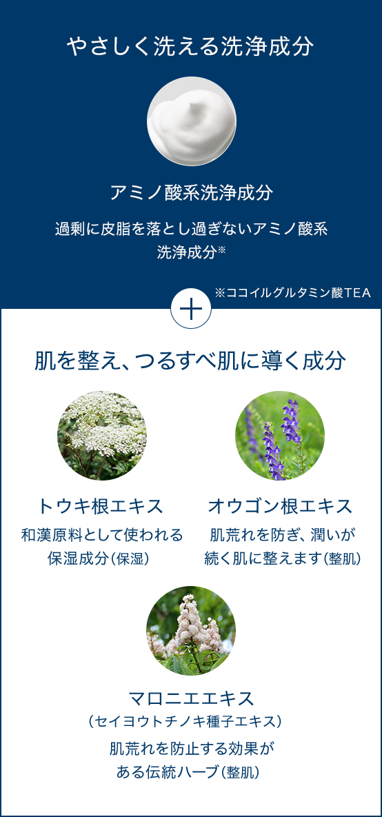ボディソープ｜マルチコンディショナー