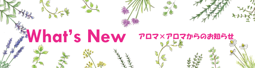 プラナロム・健草医学舎商品の欠品情報｜アロマ×アロマ