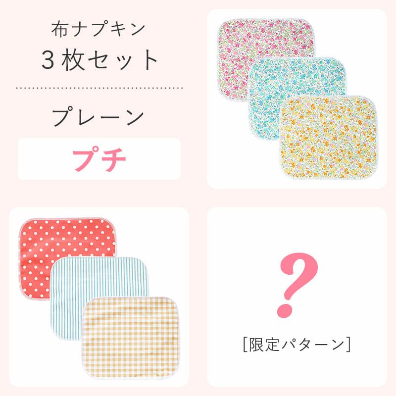 布ナプキン3枚セット プレーンレギュラー | 地球洗い隊（本店