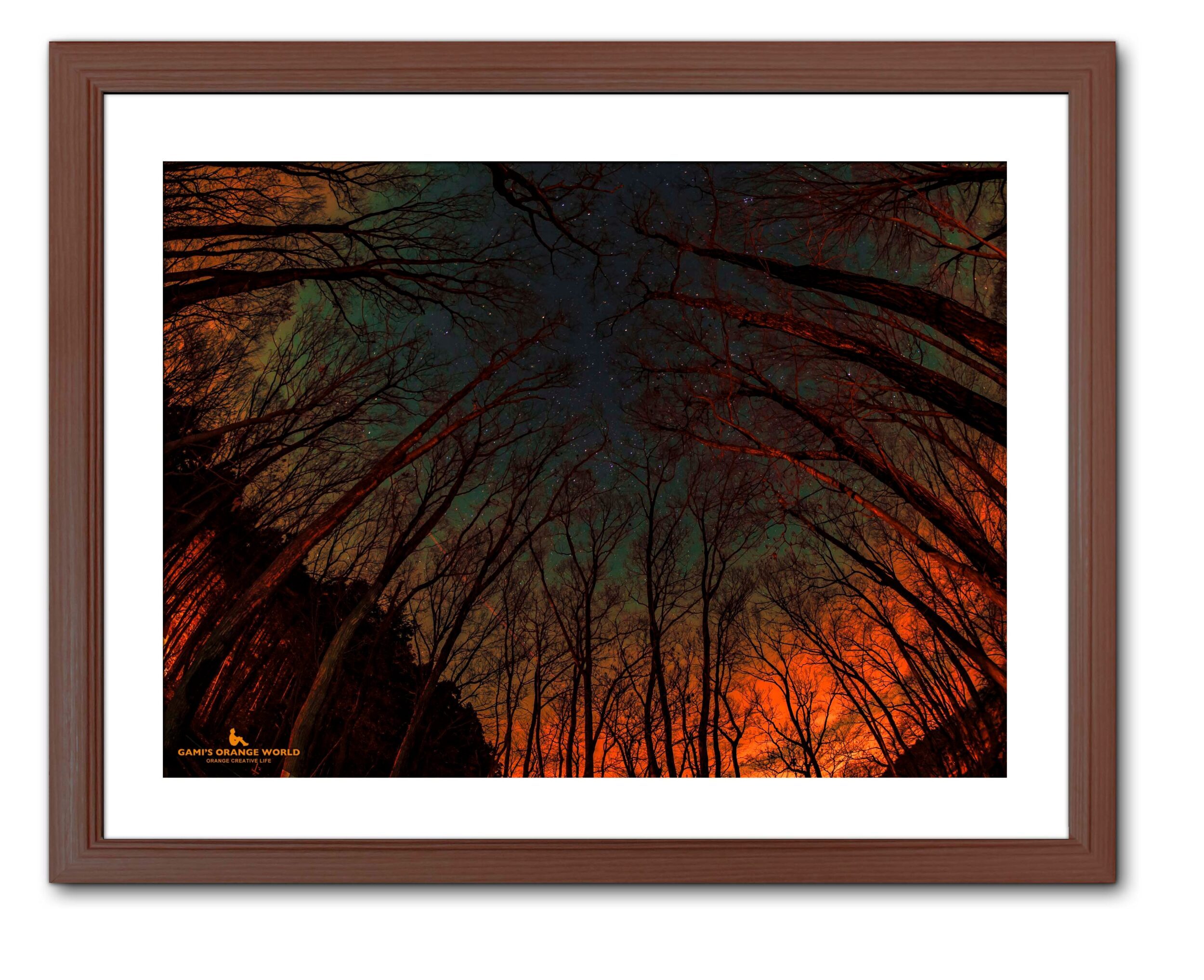 STARRY SKY SURROUNDED BY ORANGES（オレンジに囲まれる星空）【額付