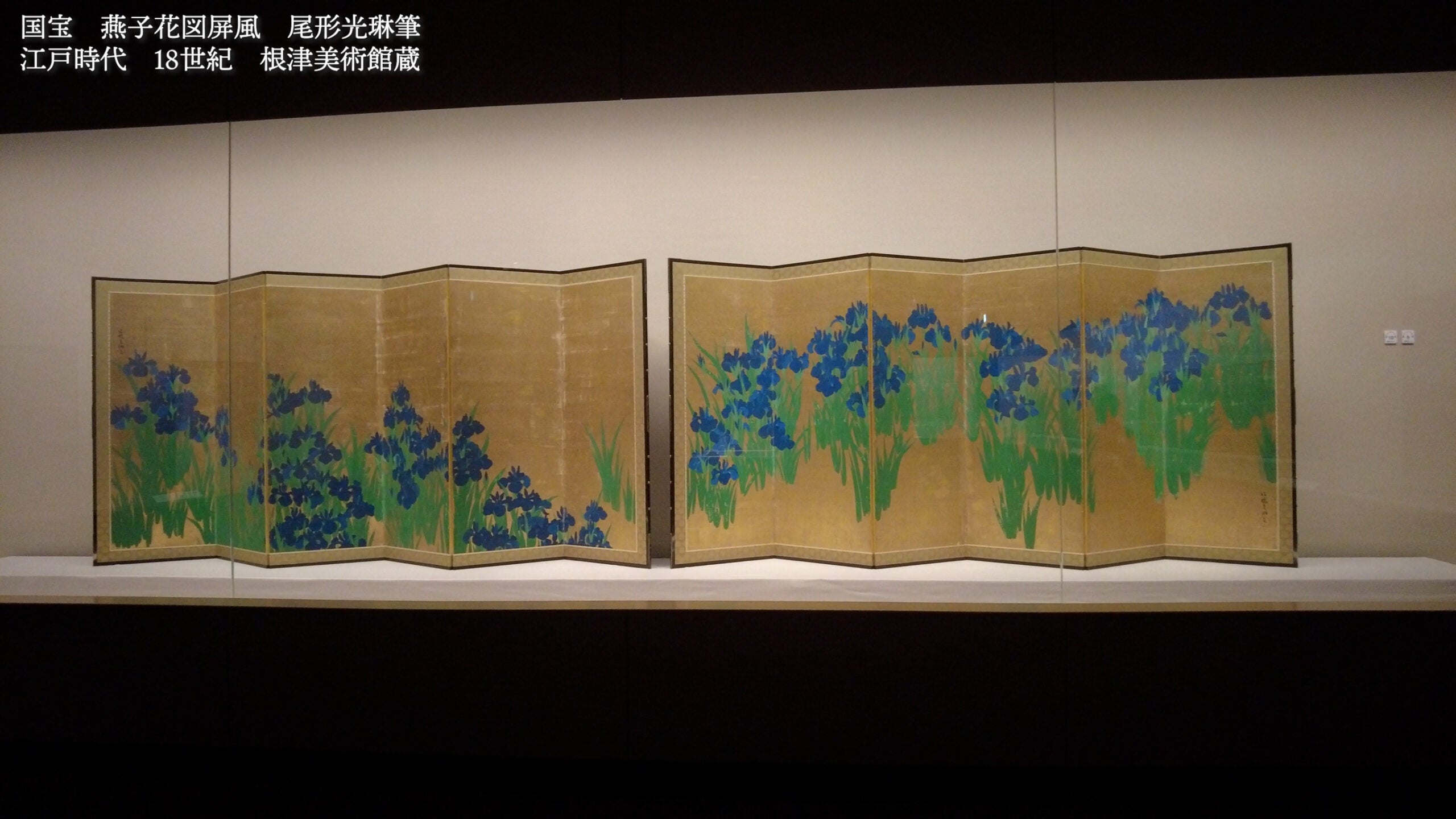 動画】特別展「国宝・燕子花図屏風－デザインの日本美術－」根津美術館