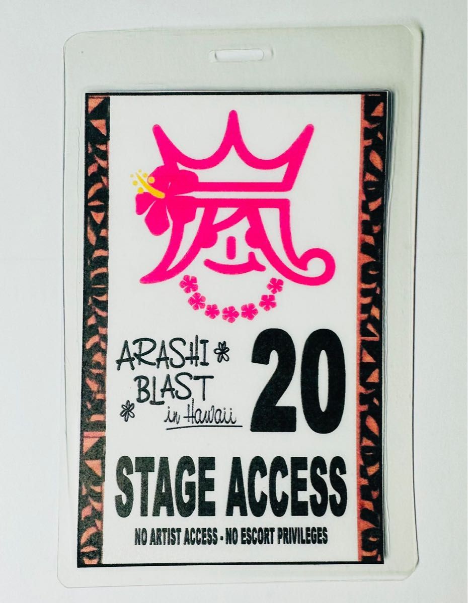 激レア】SECRET BASE × スヌーピー アストロノーツ フルカラー版