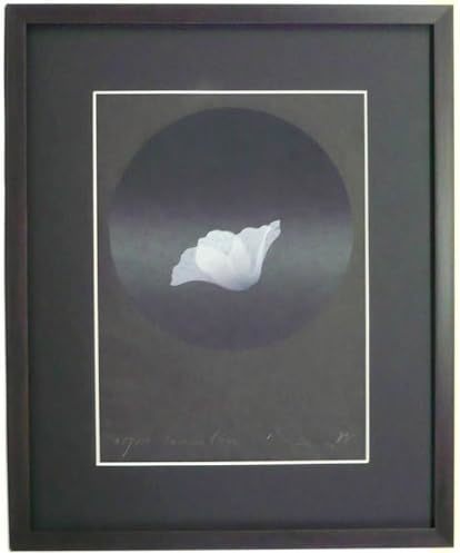 2026年最新】Yahoo!オークション -井上公三の中古品・新品・未使用品一覧