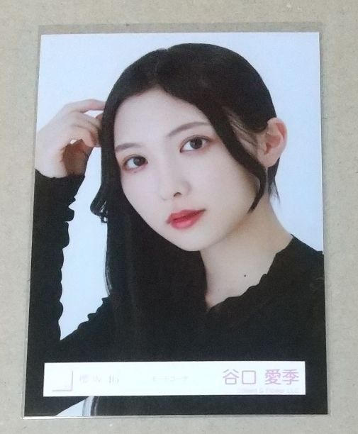 櫻坂46 谷口愛季 2025年サンタ衣装 生写真 コンプ｜Yahoo!フリマ（旧