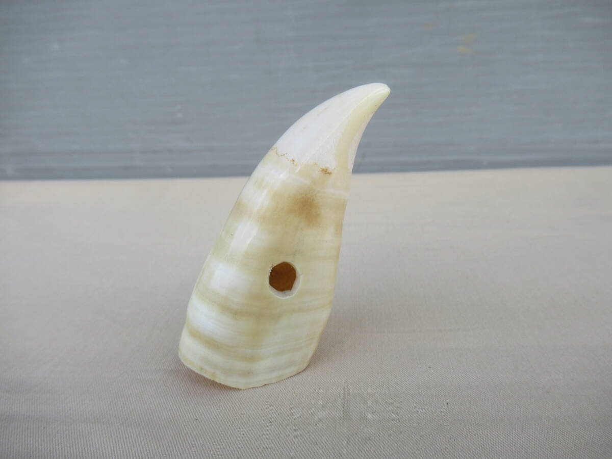 Yahoo!オークション -「クジラ 歯」(根付) (東洋彫刻)の落札相場・落札価格