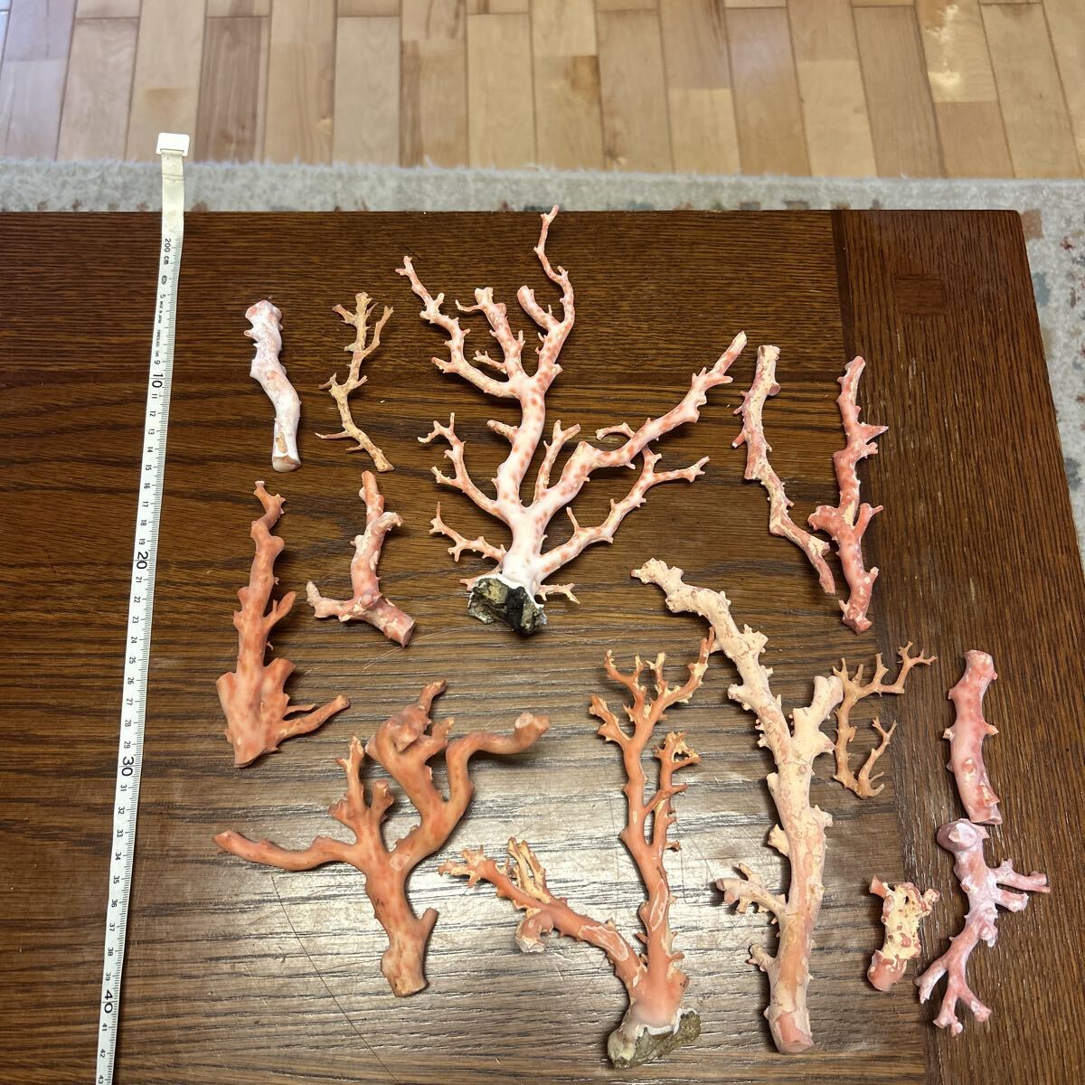 Yahoo!オークション -「桃色珊瑚 原木」の落札相場・落札価格