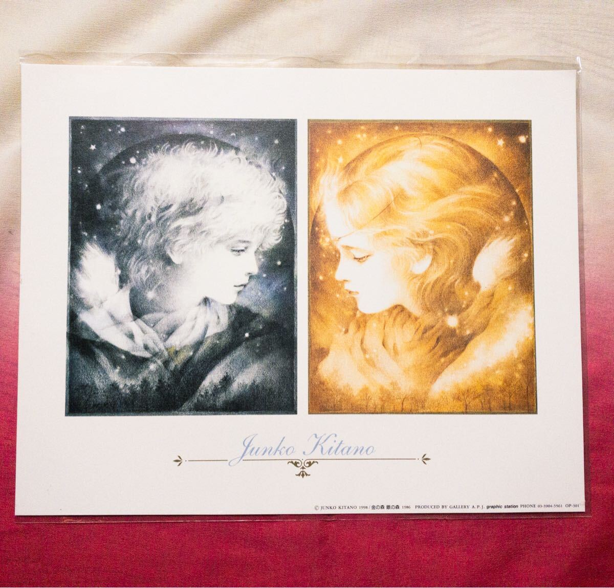 Yahoo!オークション -「きたのじゅんこ」の落札相場・落札価格