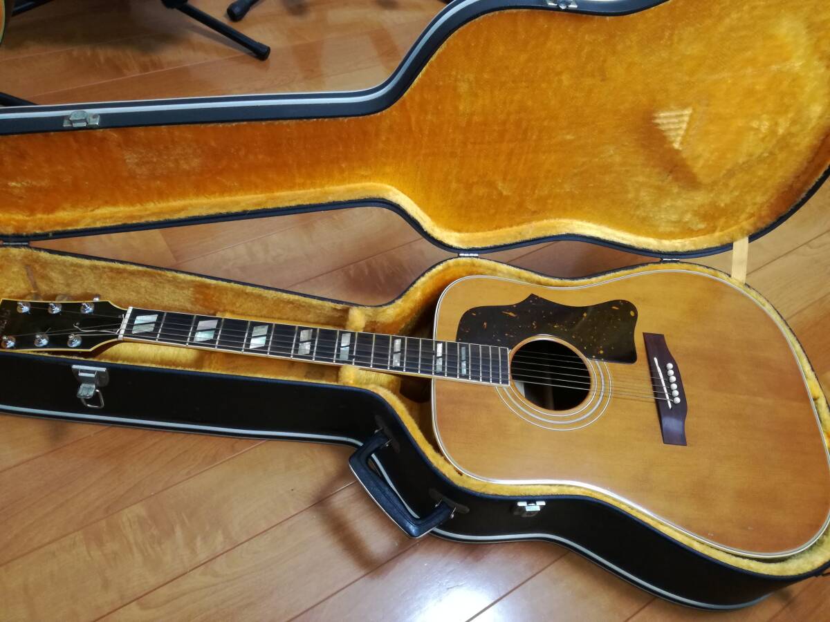 Yahoo!オークション -「chaki w50」(ギター) (楽器、器材)の落札相場