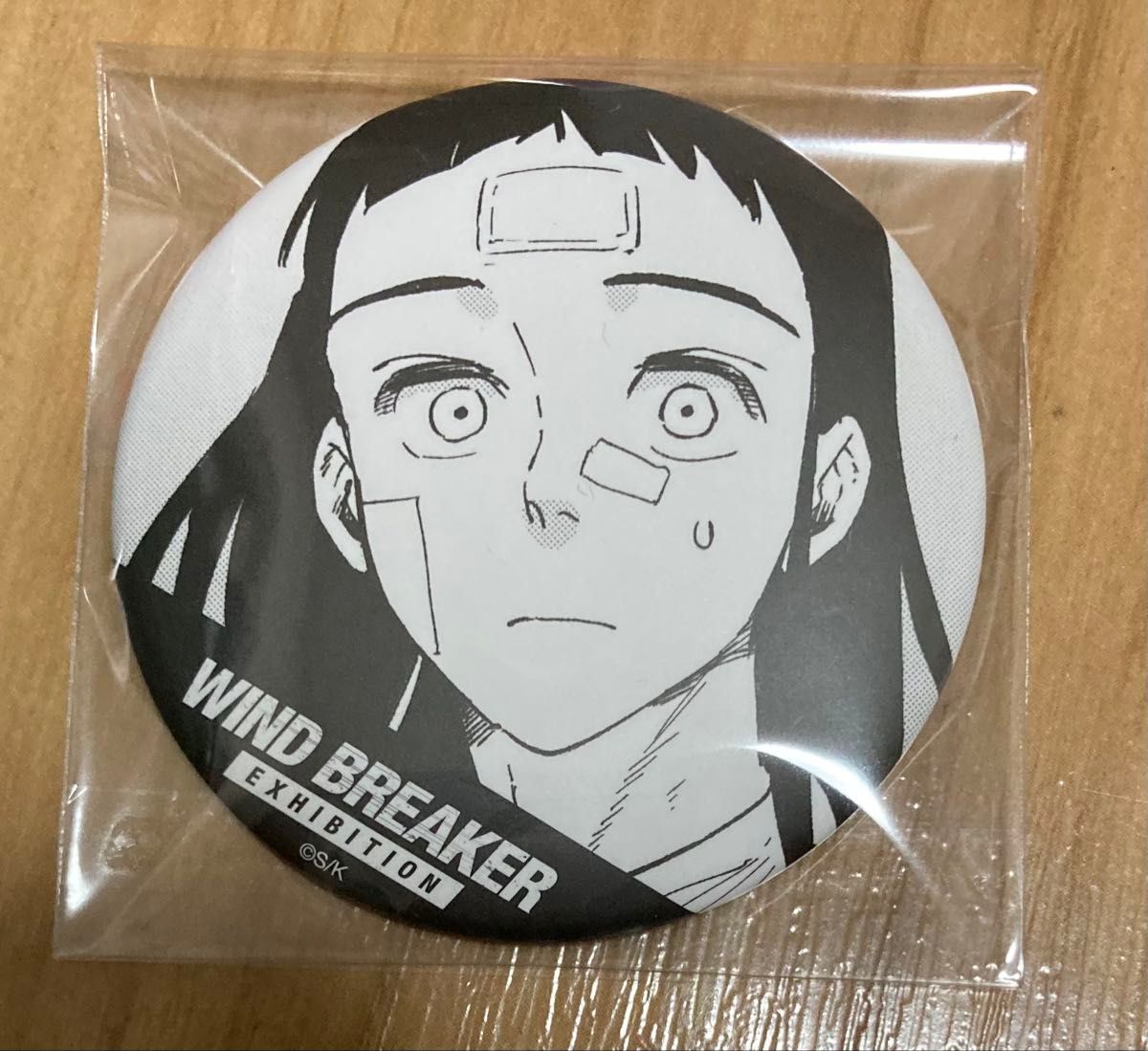 WIND BREAKER ウィンブレ展 堂哉真斗 えんどうやまと コマ缶バッジ