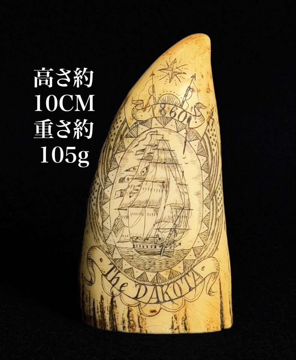 2026年最新】Yahoo!オークション -鯨 歯(根付)の中古品・新品・未使用
