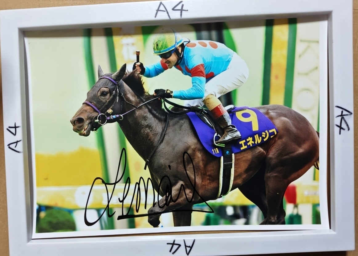 Yahoo!オークション -「ルメールサイン」(競馬) の落札相場・落札価格