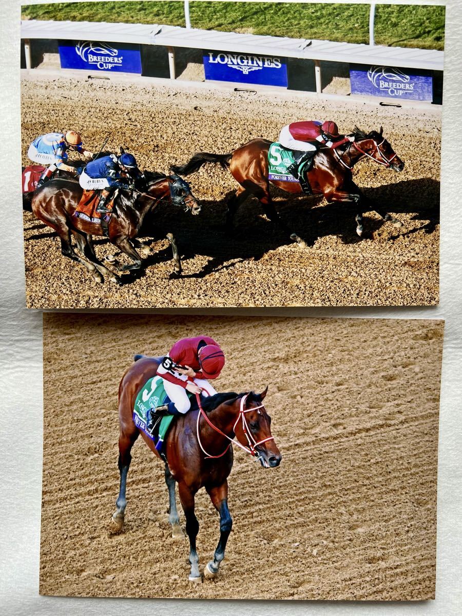 Yahoo!オークション -「ブリーダーズカップ」(その他) (競馬)の落札