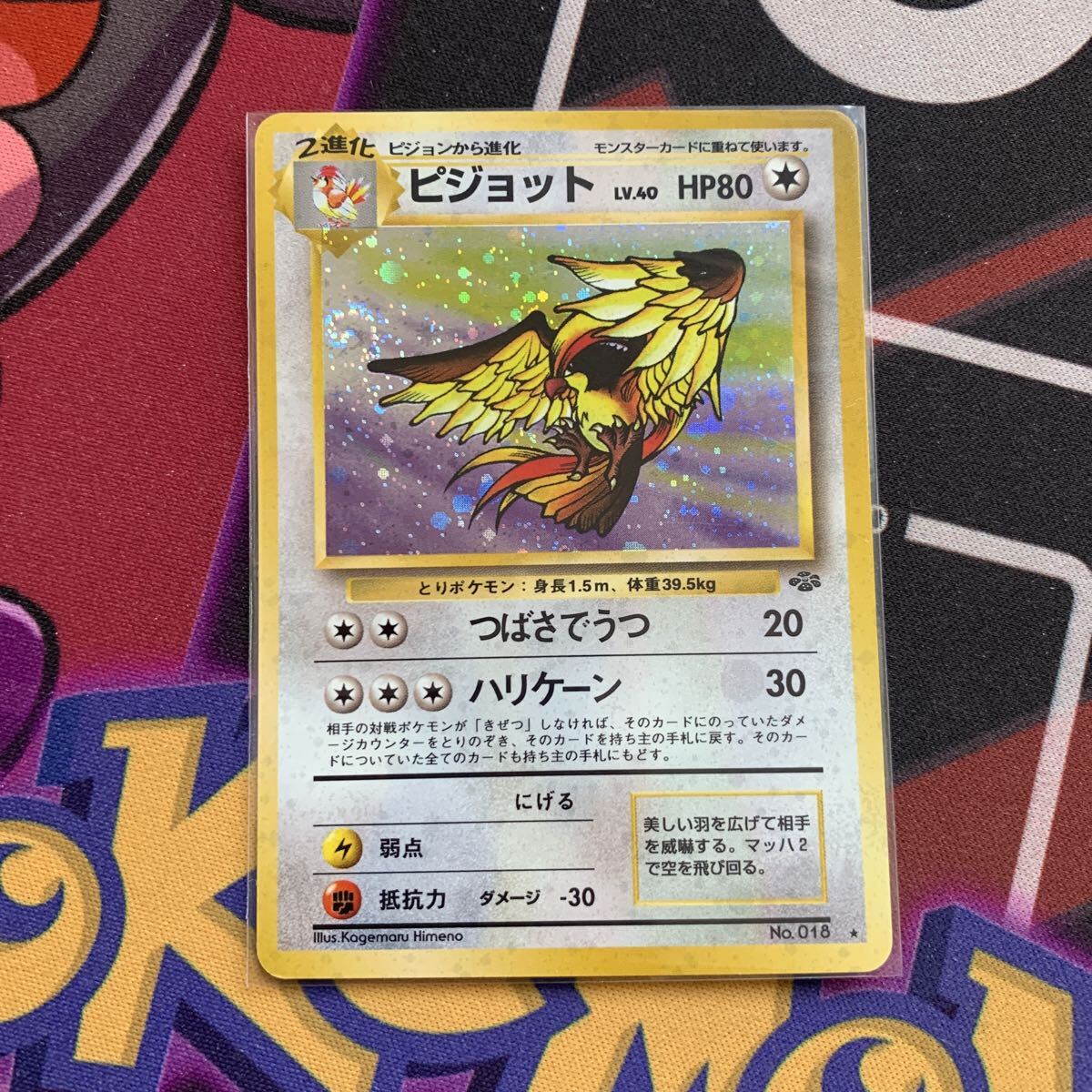 2026年最新】Yahoo!オークション -旧裏 ピジョットの中古品・新品・未