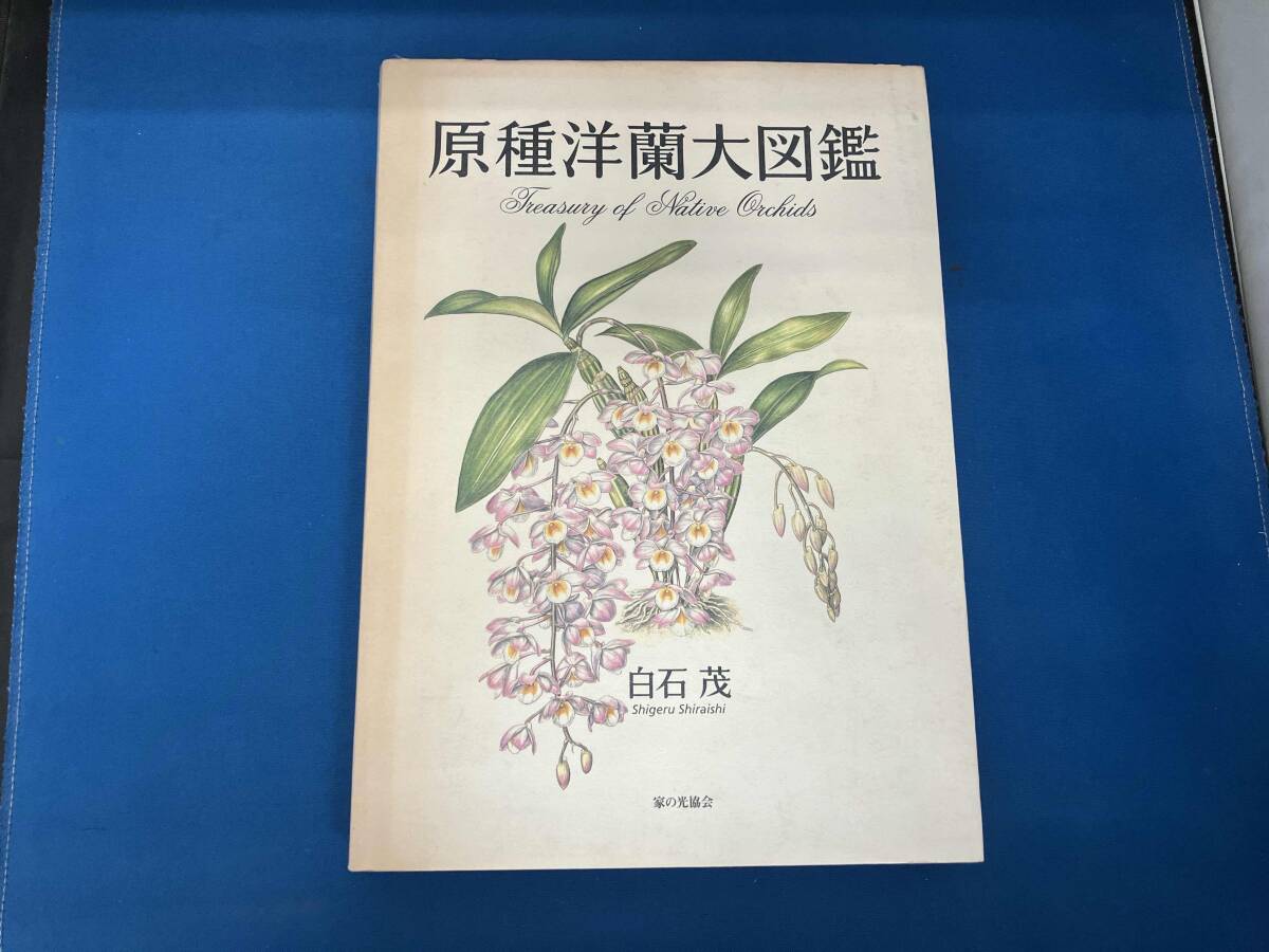 Yahoo!オークション -「洋蘭」(本、雑誌) の落札相場・落札価格