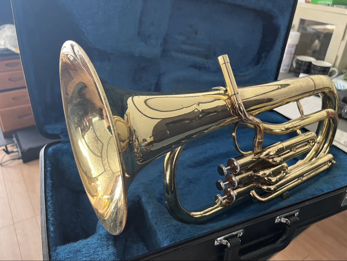 Yahoo!オークション -「アルトホルン ケース」(楽器、器材) の落札相場