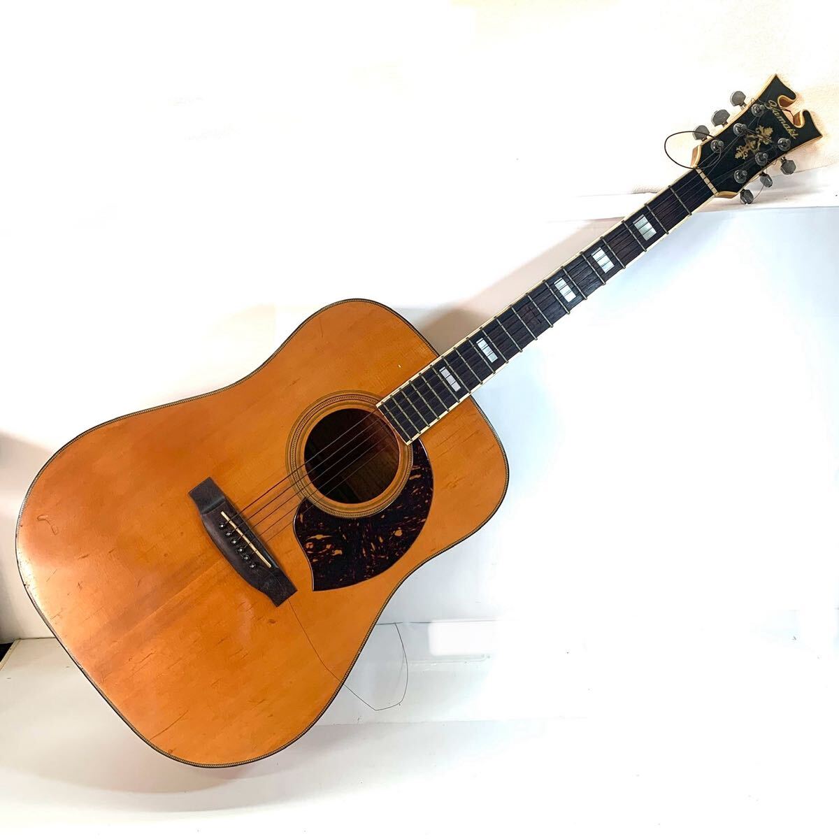 Yahoo!オークション -「buffalo」(アコースティックギター) (ギター)の