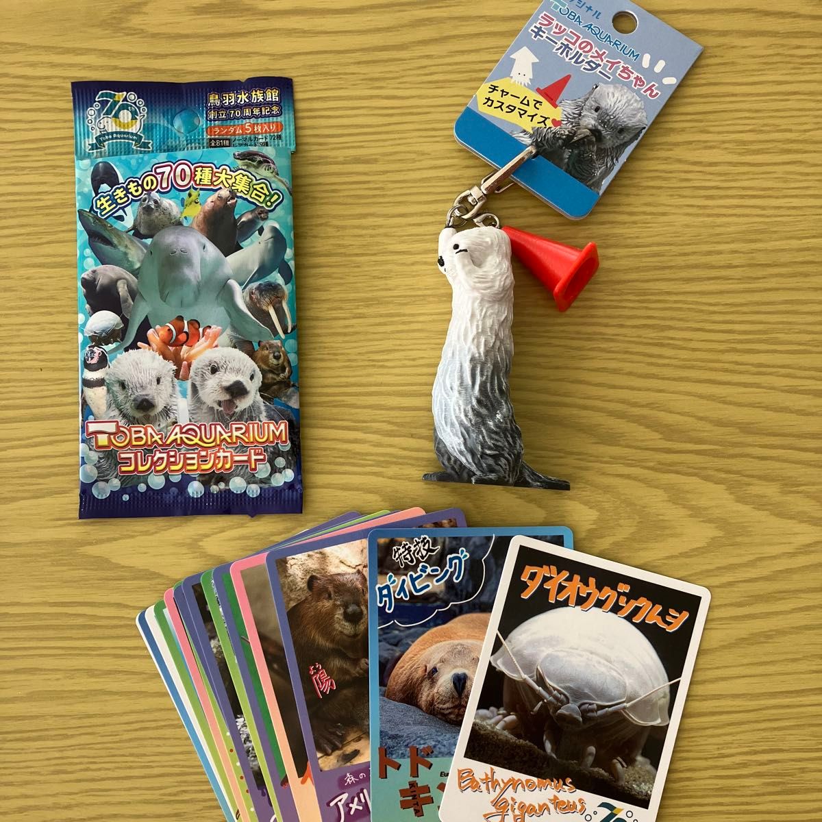 鳥羽水族館 TOBA AQUARIUMコレクションカード ラッコ『キラ』 キラ