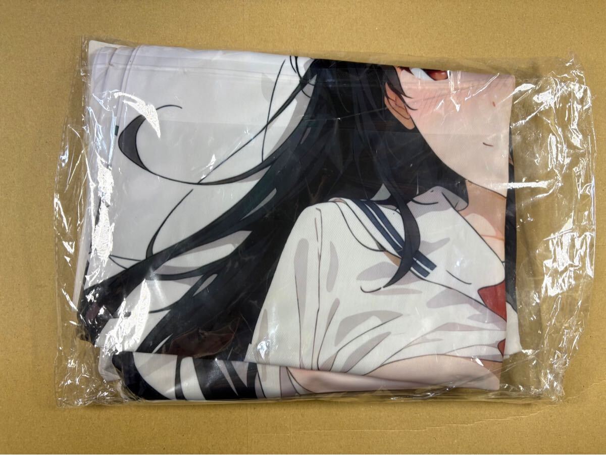 2026年最新】Yahoo!オークション -冴えない彼女の育てかた 抱き枕の