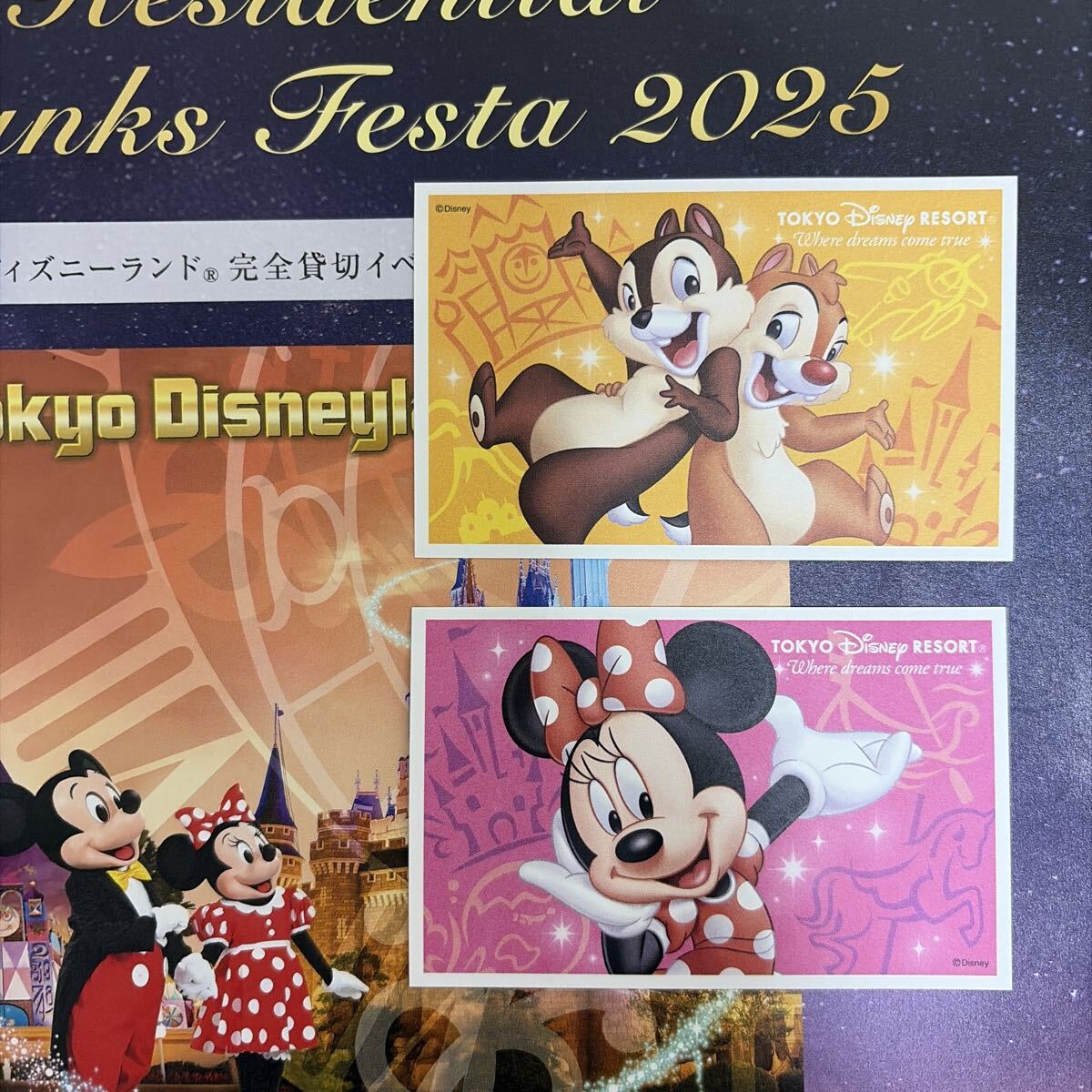 Yahoo!オークション -「ディズニー 貸切 チケット」(関東) (遊園地