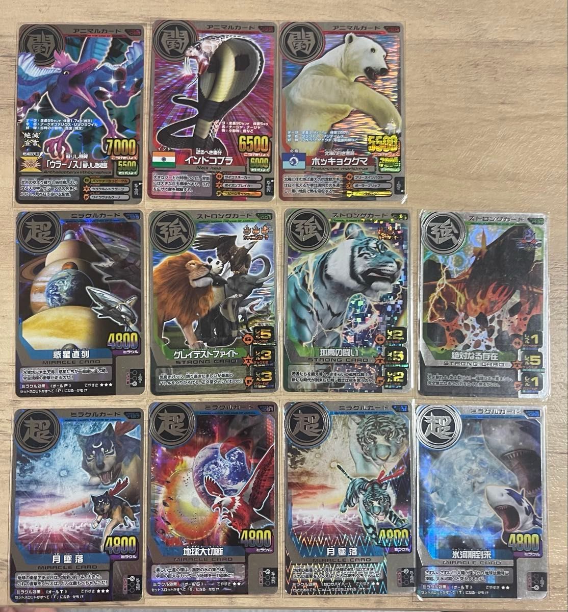 アニマルカイザー 海外版 究極レア｜Yahoo!フリマ（旧PayPayフリマ）