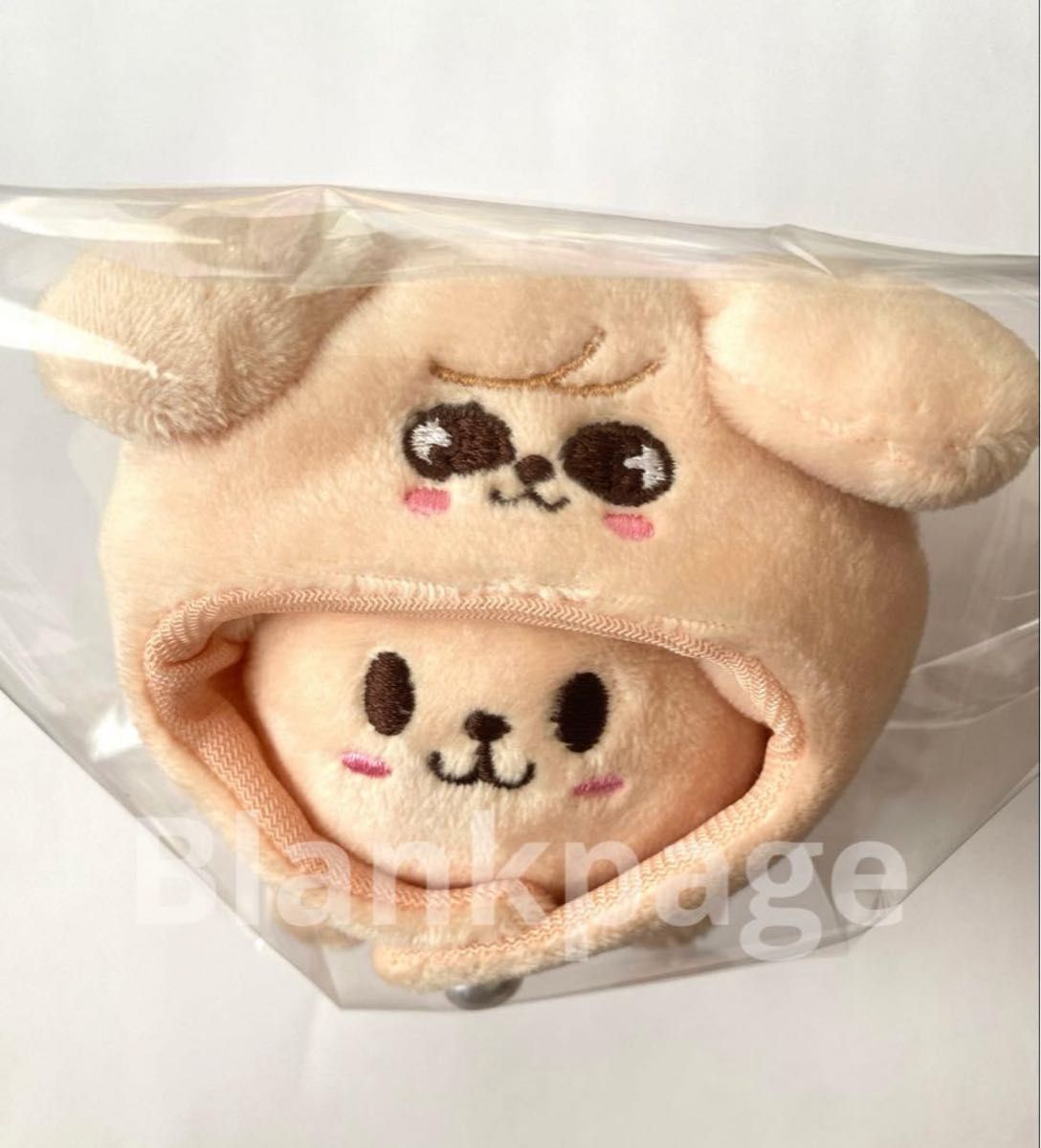 stray kids フォクシニー スキズ skzoo アイエン I N JYP ポップアップ