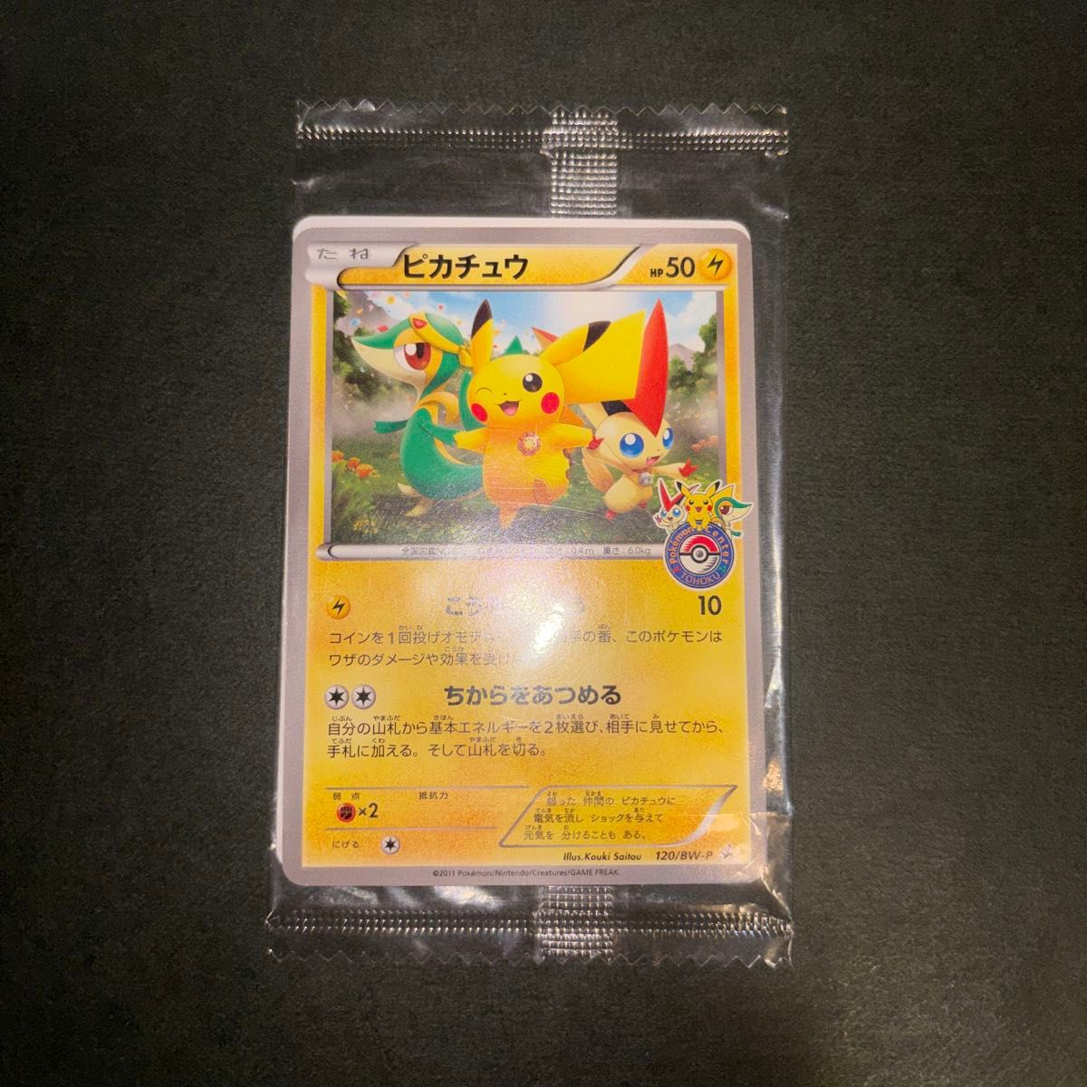 ポケモンカード キモリ 新品未開封 プロモ 037/PCG-P ポケモンセンター