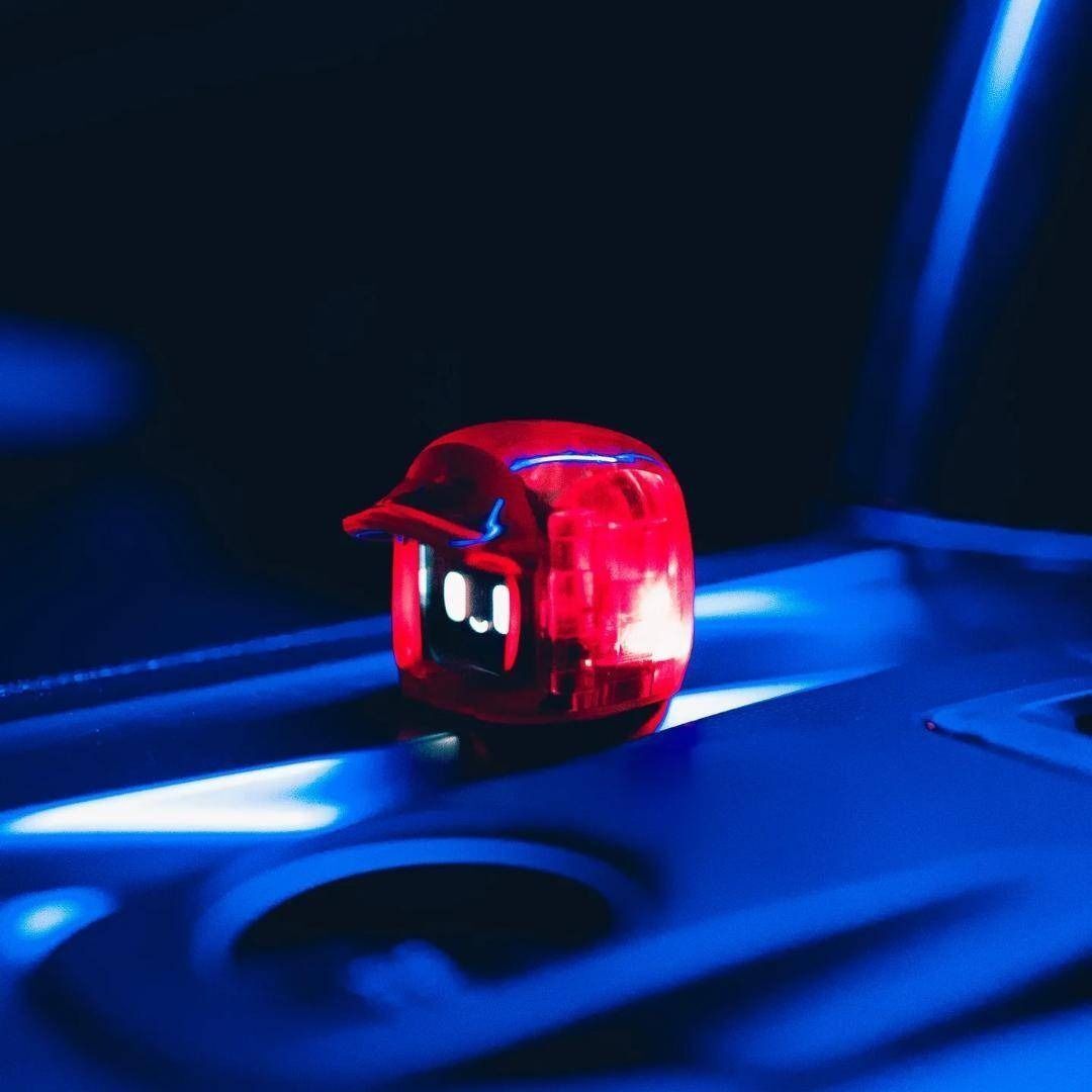 Yahoo!オークション -「ダサイ モチ」の落札相場・落札価格