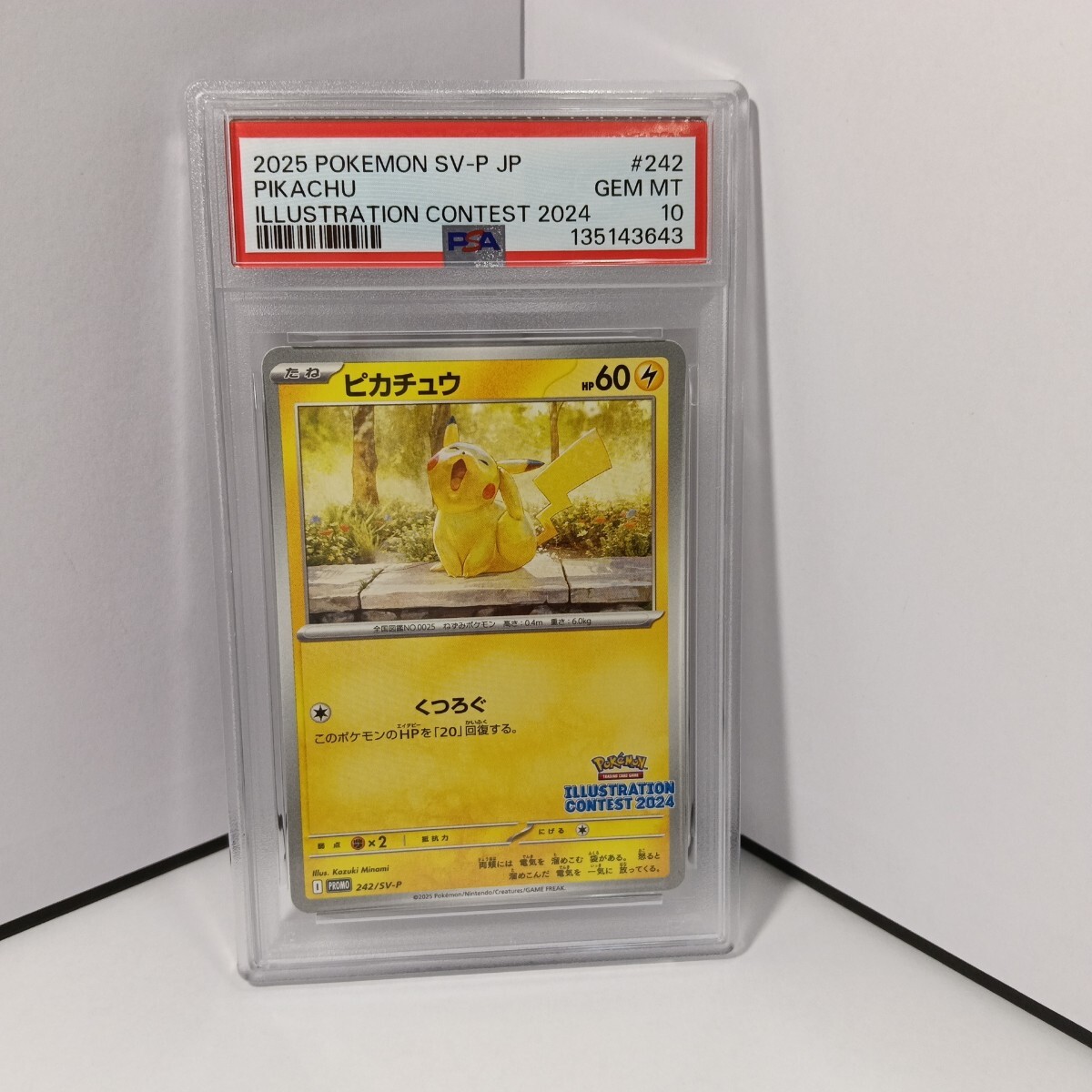 Yahoo!オークション -「ポケモン ピカチュウ イラスト」の落札相場