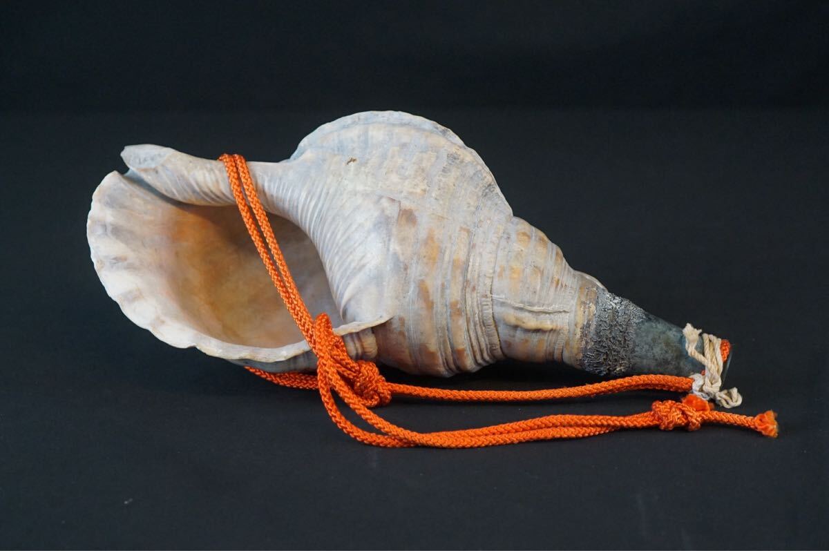 Yahoo!オークション -「法螺貝 楽器」の落札相場・落札価格