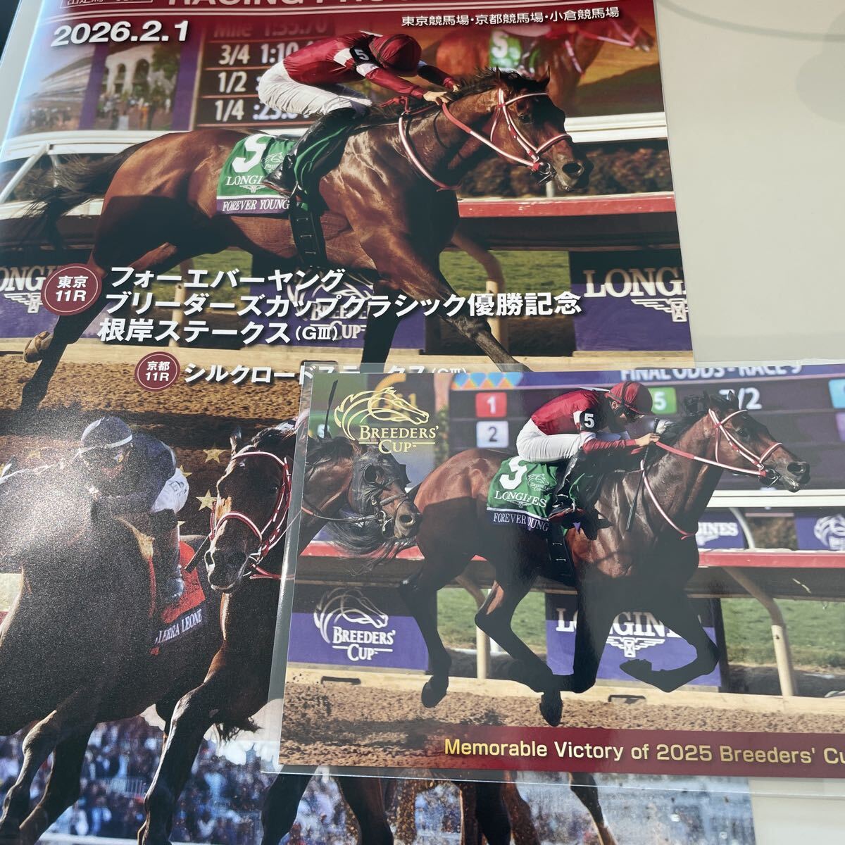 Yahoo!オークション -「ブリーダーズカップ」(その他) (競馬)の落札