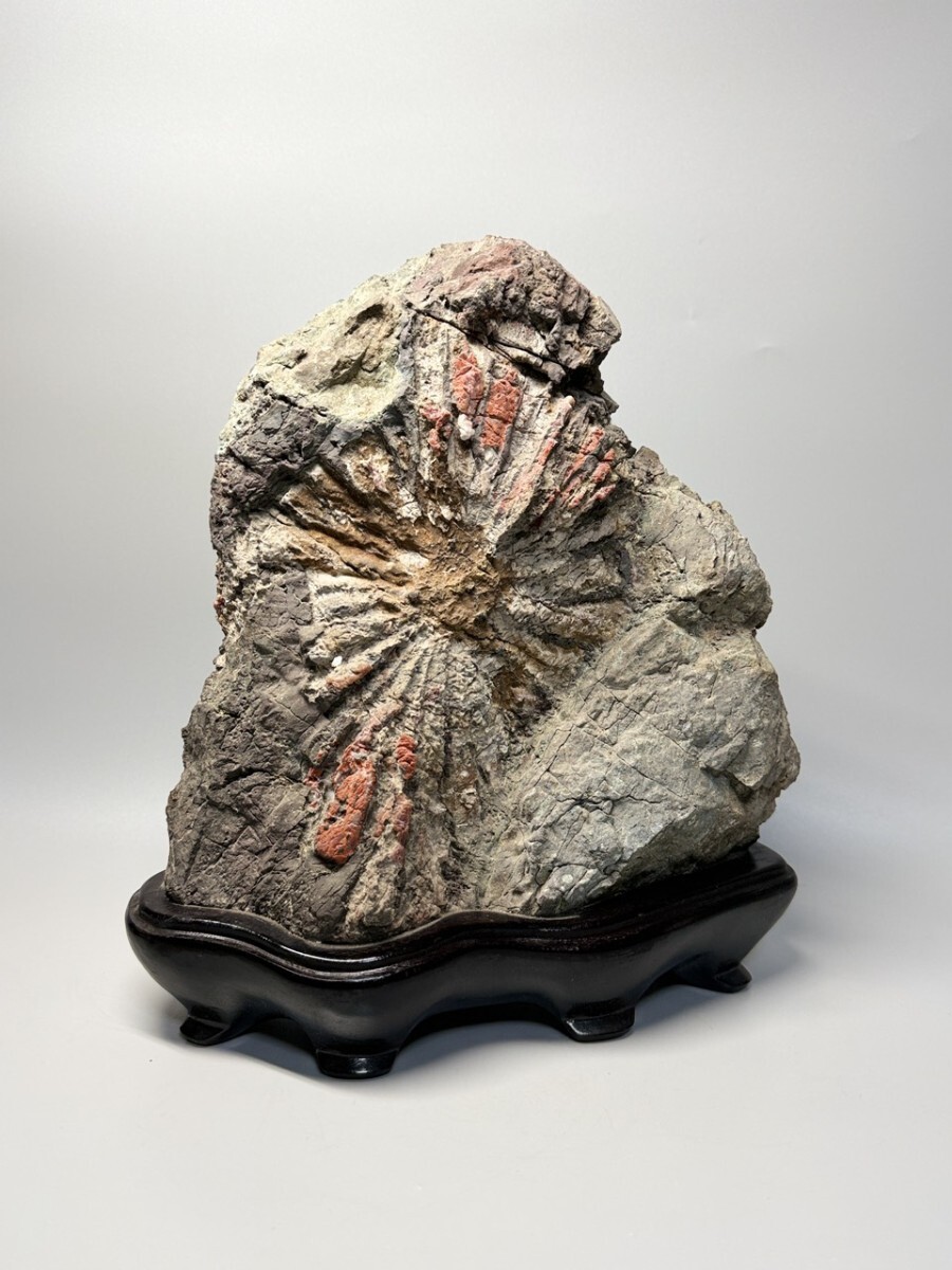 Yahoo!オークション - 「菊花 石」の落札相場・落札価格