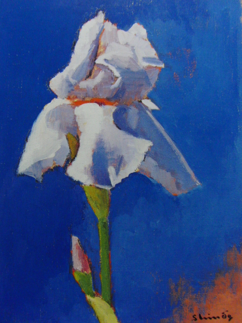 2026年最新】Yahoo!オークション -進藤蕃の中古品・新品・未使用品一覧