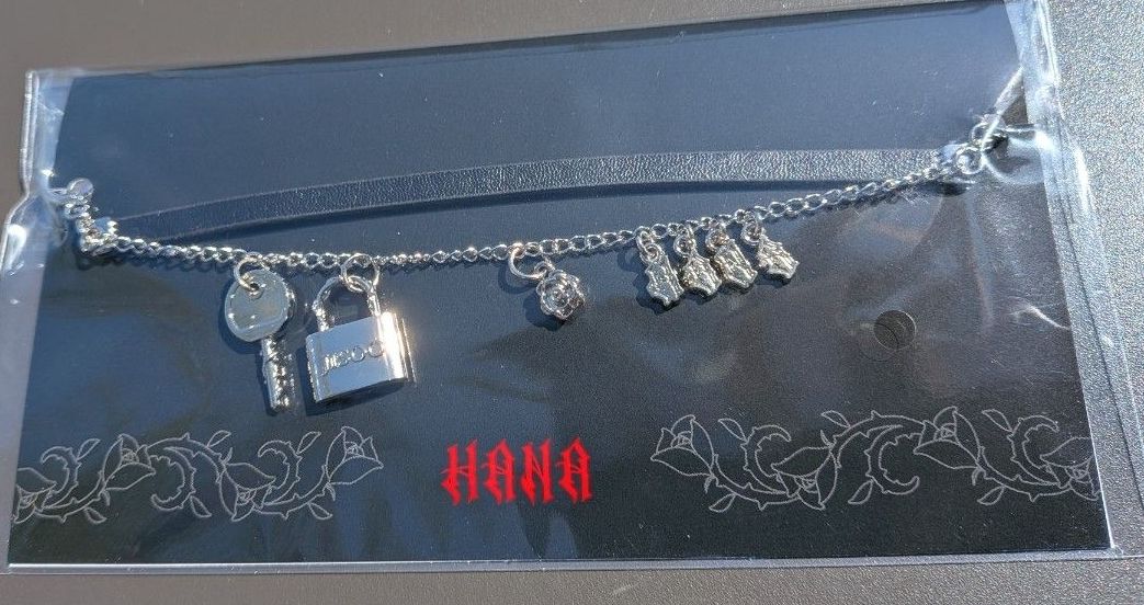 HANA BAD LOVE アクセサリーケース 新品未開封｜Yahoo!フリマ（旧
