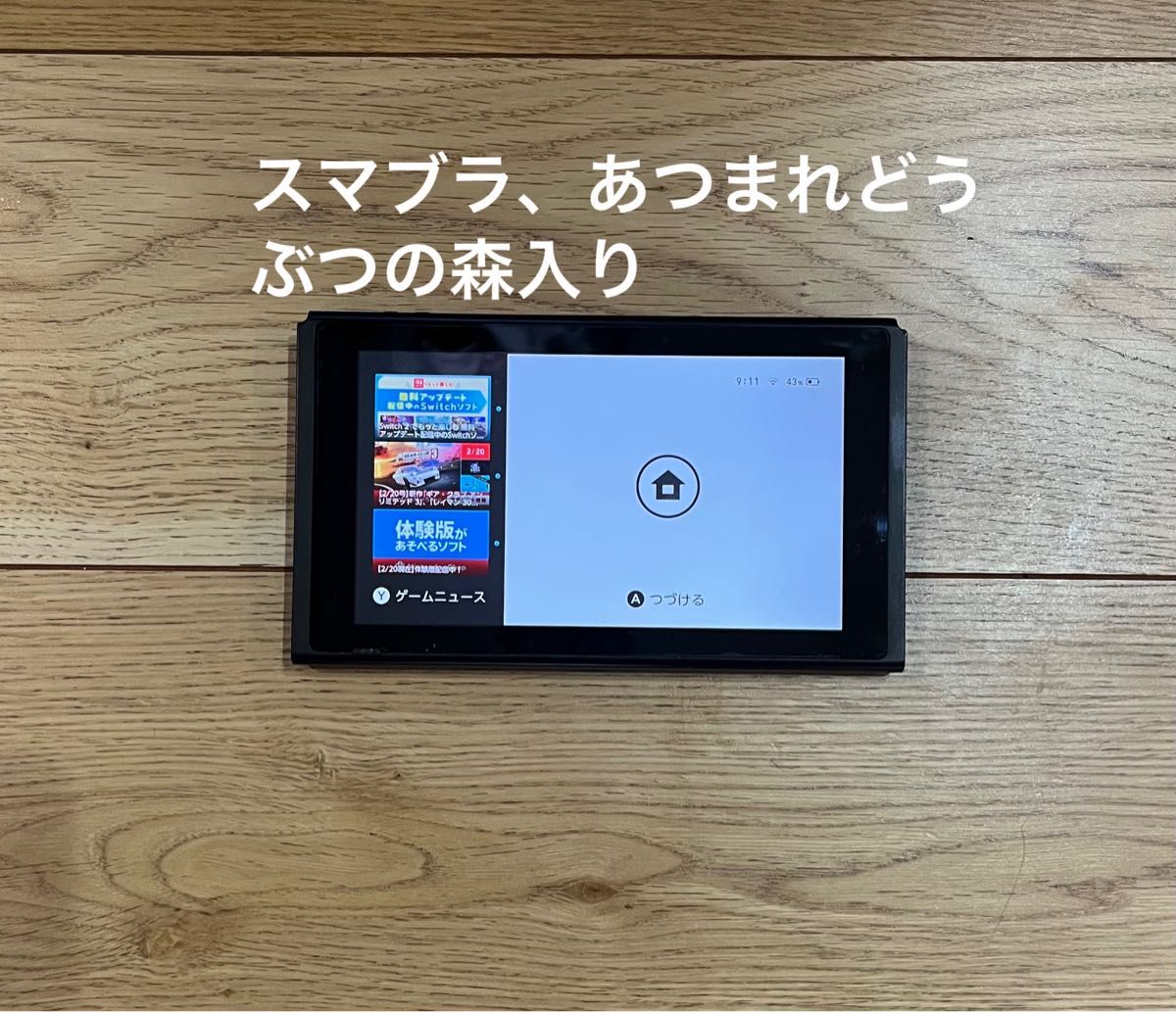 Nintendo Switch 本体 / 付属品完備 / 未対策機 Ver 9 0 1 XAJ40017