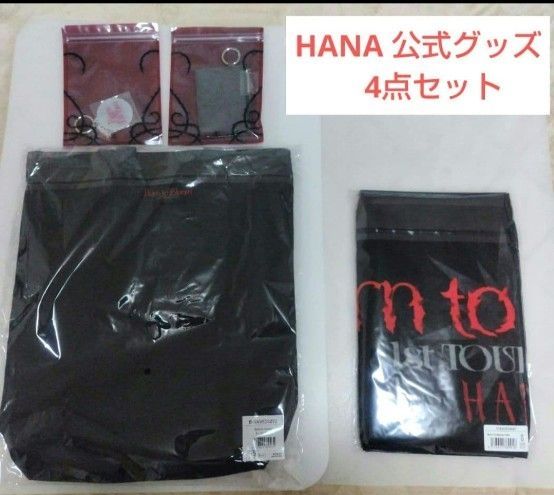 HANA ロゴリップケース 新品未開封 値下げ不可｜Yahoo!フリマ（旧