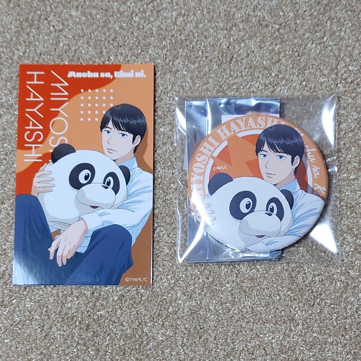 カラオケ行こ 』『夢中さ きみに 』謝恩会 パンダの着ぐるみ